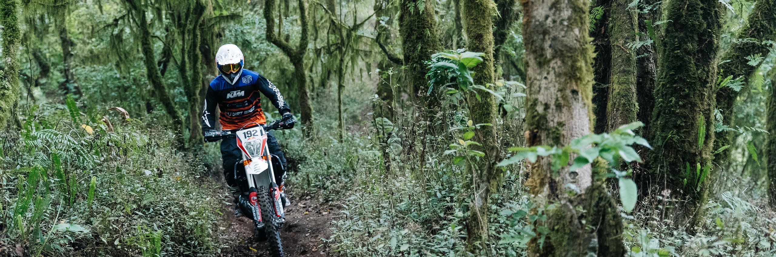 Bali_Dirt_Bikes_Kintamani_Forest_Slider1
